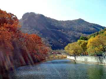 正版澳门天天开彩大全，平顶山seo服务